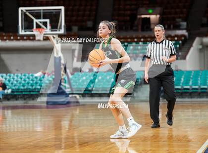 Thumbnail 1 in Holy Family vs Delta (CHSAA 4A Great 8) photogallery.