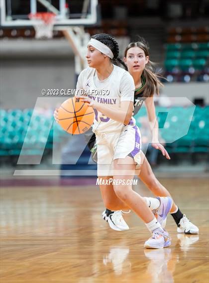 Thumbnail 2 in Holy Family vs Delta (CHSAA 4A Great 8) photogallery.