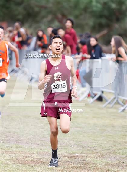 Thumbnail 1 in CIF Central Section Cross Country Championships (Boys D4 Race) photogallery.