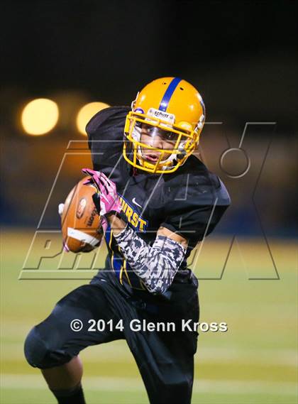 Thumbnail 1 in Harrison @ Lyndhurst photogallery.