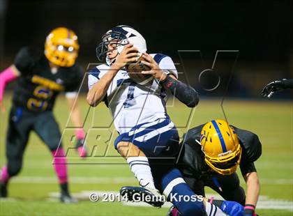 Thumbnail 2 in Harrison @ Lyndhurst photogallery.