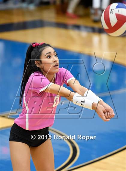 Thumbnail 1 in Wylie @ Wylie East photogallery.