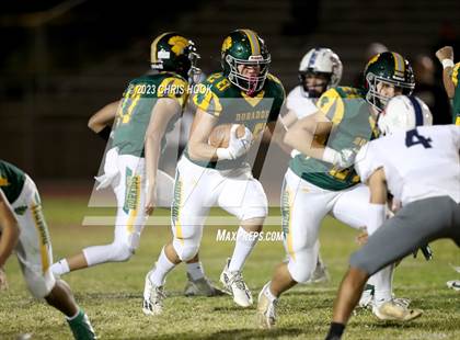 Thumbnail 1 in Sahuaro @ Canyon del Oro photogallery.