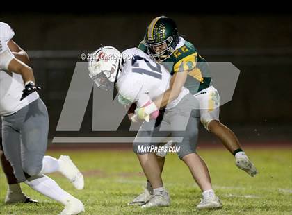 Thumbnail 1 in Sahuaro @ Canyon del Oro photogallery.