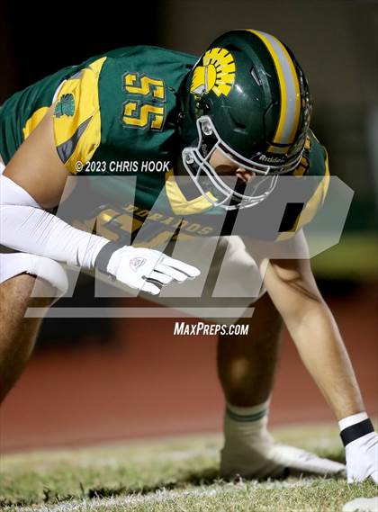 Thumbnail 1 in Sahuaro @ Canyon del Oro photogallery.