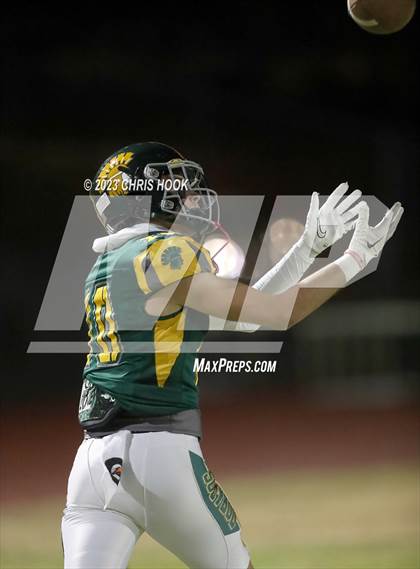 Thumbnail 2 in Sahuaro @ Canyon del Oro photogallery.