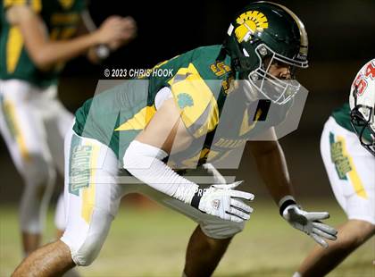 Thumbnail 3 in Sahuaro @ Canyon del Oro photogallery.