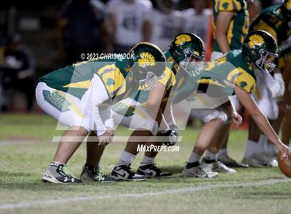 Thumbnail 1 in Sahuaro @ Canyon del Oro photogallery.