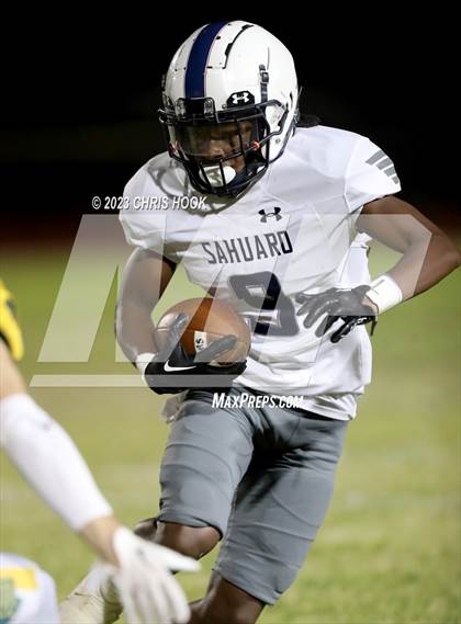 Thumbnail 1 in Sahuaro @ Canyon del Oro photogallery.