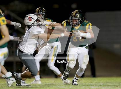 Thumbnail 1 in Sahuaro @ Canyon del Oro photogallery.