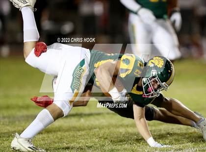 Thumbnail 3 in Sahuaro @ Canyon del Oro photogallery.