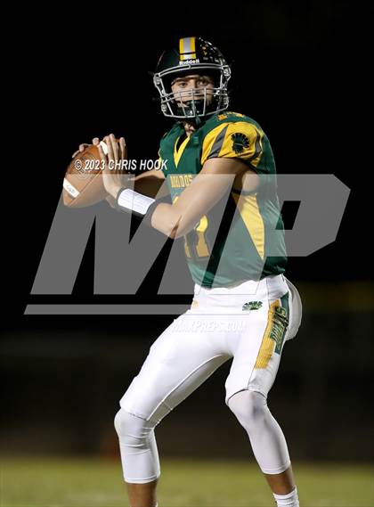 Thumbnail 1 in Sahuaro @ Canyon del Oro photogallery.