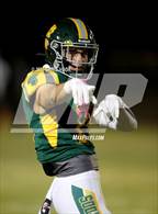 Photo from the gallery "Sahuaro @ Canyon del Oro"