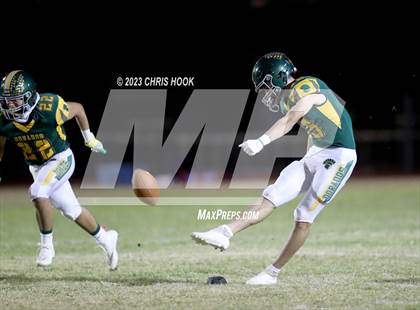 Thumbnail 1 in Sahuaro @ Canyon del Oro photogallery.