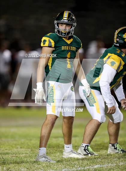 Thumbnail 1 in Sahuaro @ Canyon del Oro photogallery.