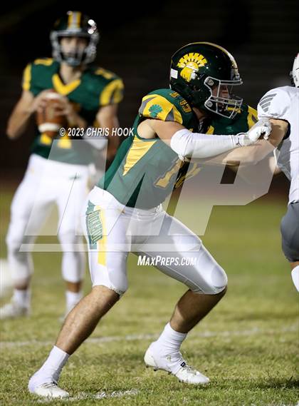Thumbnail 1 in Sahuaro @ Canyon del Oro photogallery.