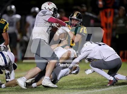Thumbnail 3 in Sahuaro @ Canyon del Oro photogallery.