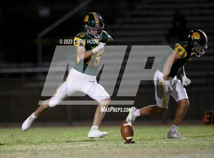 Thumbnail 2 in Sahuaro @ Canyon del Oro photogallery.