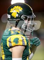 Photo from the gallery "Sahuaro @ Canyon del Oro"