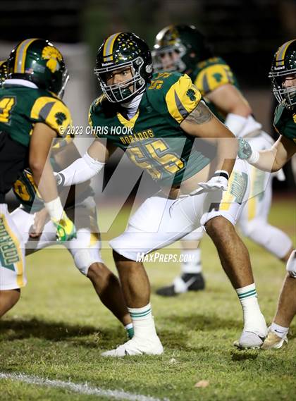 Thumbnail 1 in Sahuaro @ Canyon del Oro photogallery.