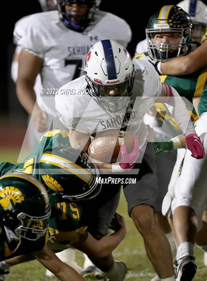 Thumbnail 1 in Sahuaro @ Canyon del Oro photogallery.