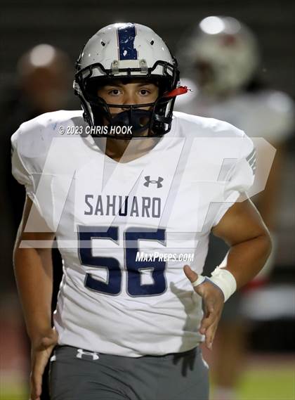 Thumbnail 1 in Sahuaro @ Canyon del Oro photogallery.