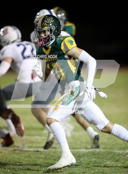 Thumbnail 1 in Sahuaro @ Canyon del Oro photogallery.