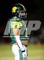 Photo from the gallery "Sahuaro @ Canyon del Oro"