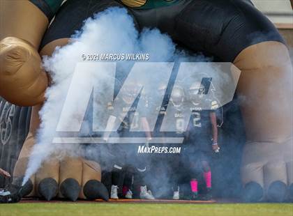 Thumbnail 2 in Highland @ Basha photogallery.