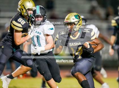 Thumbnail 2 in Highland @ Basha photogallery.