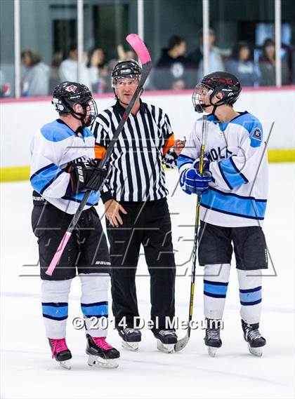 Thumbnail 3 in East Lake vs. Newsome photogallery.