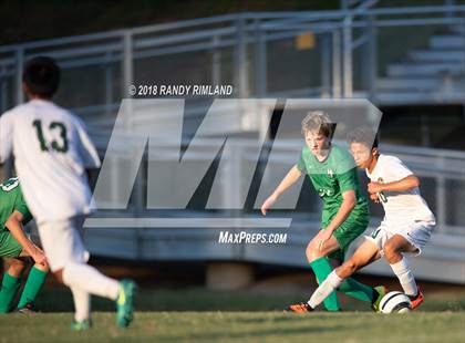 Thumbnail 1 in Independence @ Myers Park photogallery.