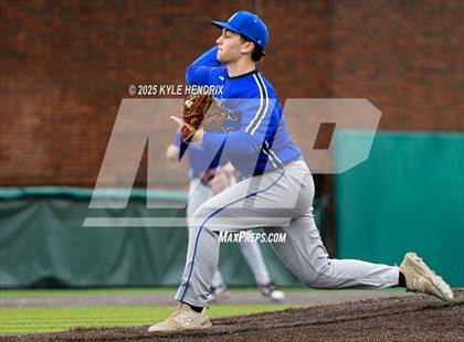 Thumbnail 2 in Ross @ Hamilton photogallery.