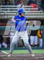 Photo from the gallery "Ross @ Hamilton"