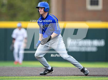 Thumbnail 3 in Ross @ Hamilton photogallery.