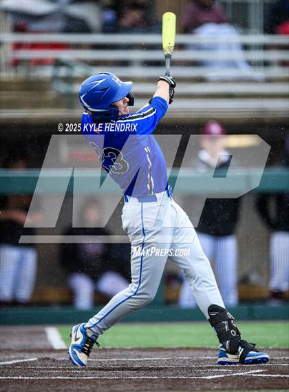 Thumbnail 2 in Ross @ Hamilton photogallery.