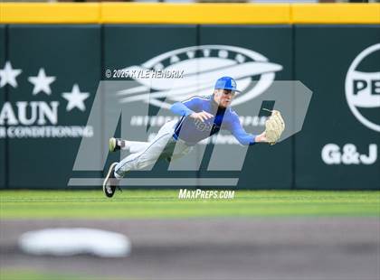 Thumbnail 2 in Ross @ Hamilton photogallery.