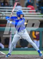Photo from the gallery "Ross @ Hamilton"