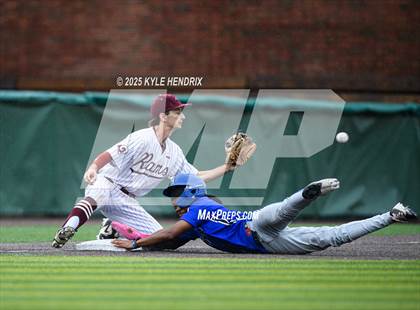 Thumbnail 2 in Ross @ Hamilton photogallery.