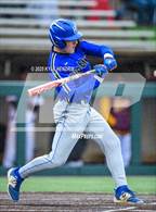 Photo from the gallery "Ross @ Hamilton"