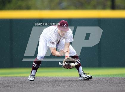 Thumbnail 3 in Ross @ Hamilton photogallery.