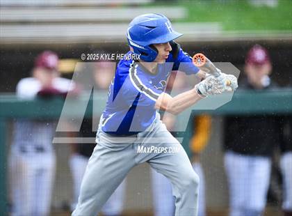 Thumbnail 2 in Ross @ Hamilton photogallery.