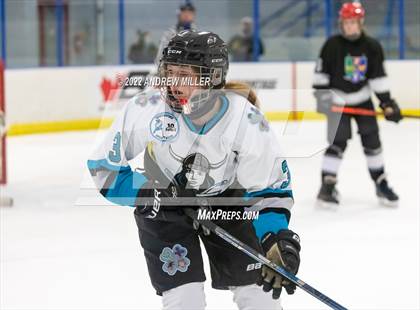 Thumbnail 3 in HEWS @ NiCo (Section VI Quarterfinal) photogallery.