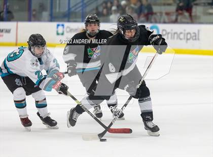 Thumbnail 3 in HEWS @ NiCo (Section VI Quarterfinal) photogallery.