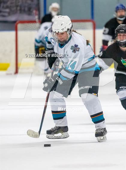 Thumbnail 2 in HEWS @ NiCo (Section VI Quarterfinal) photogallery.