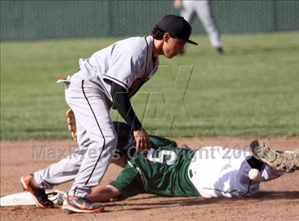 Thumbnail 2 in Pittsburg @ Livermore photogallery.