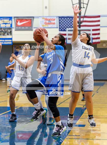Thumbnail 1 in Newark Memorial vs Irvington (Newark Optimist Club Holiday Classic) photogallery.