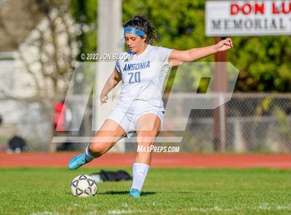 Thumbnail 1 in Ansonia vs Cromwell (CIAC Class M Second Round) photogallery.