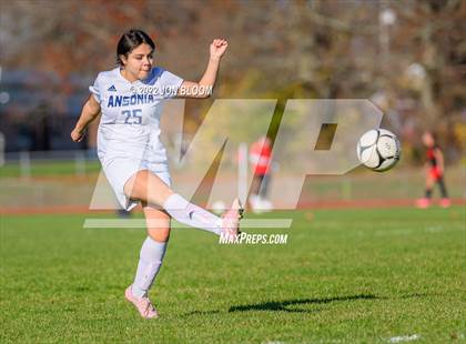 Thumbnail 2 in Ansonia vs Cromwell (CIAC Class M Second Round) photogallery.