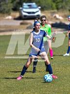 Photo from the gallery "St. Michael's @ Santa Fe Prep"